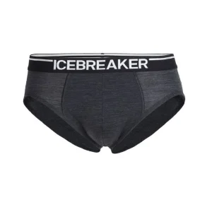 Remise 🛒 Icebreaker Anatomica Briefs – Slip homme 🎁 site officiel 15